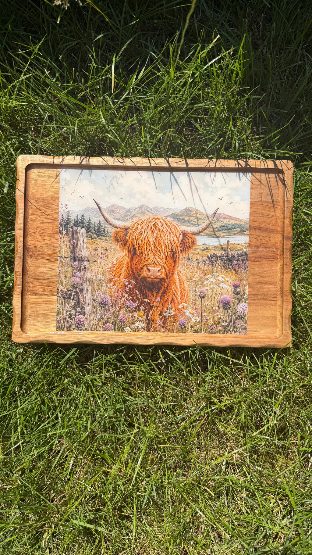 Highland cow tray