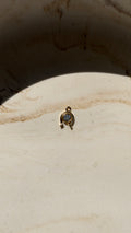 Horse Shoe with Cubic Zirconia Charm - 24kt Gold Plated