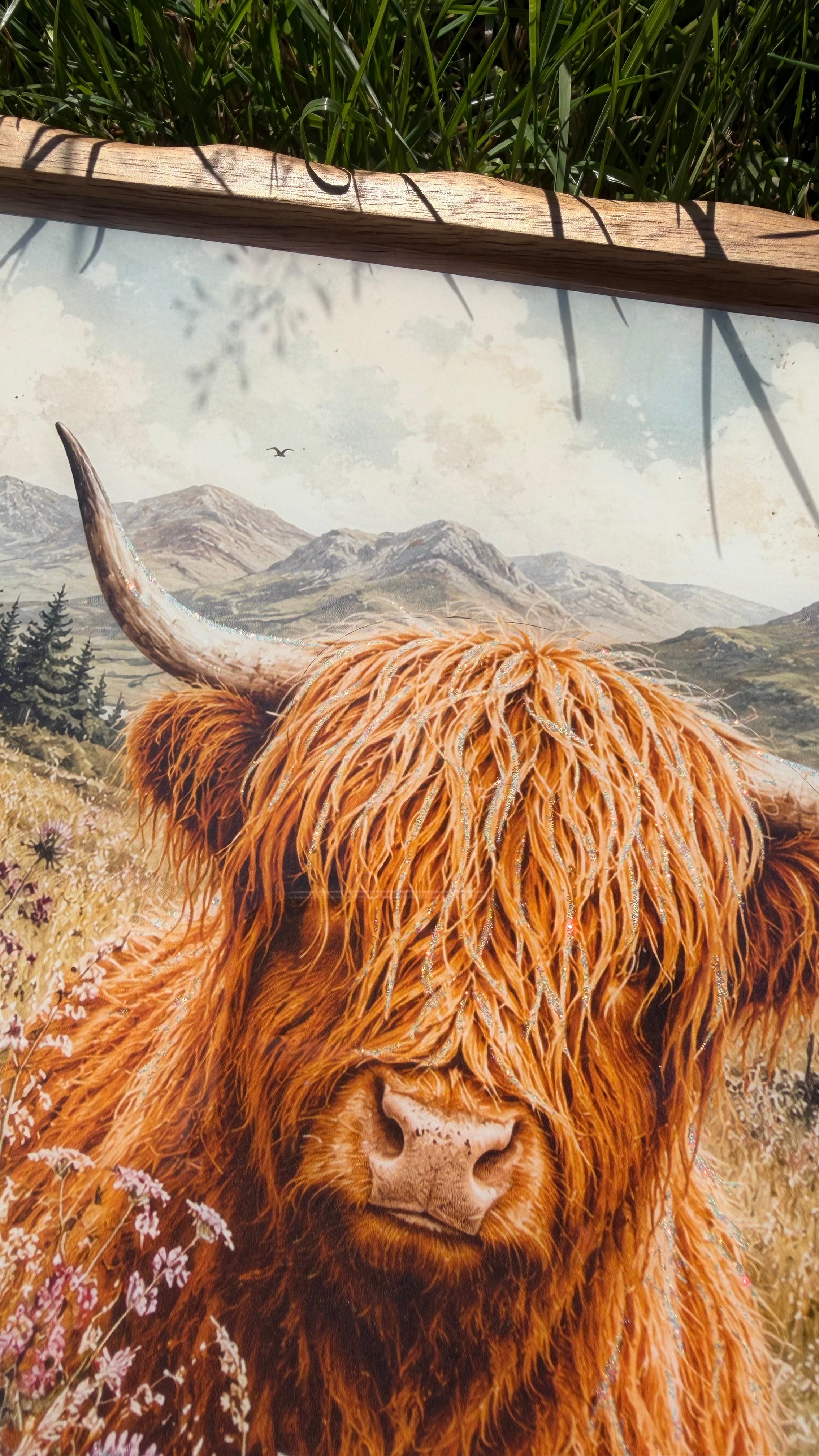 Highland cow tray