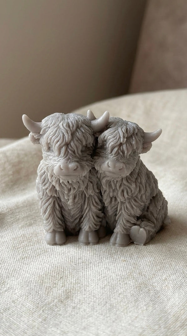 Cuddle Highland cows