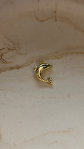 Dolphin Charm - 24kt Gold Plated