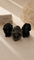 Monkeys